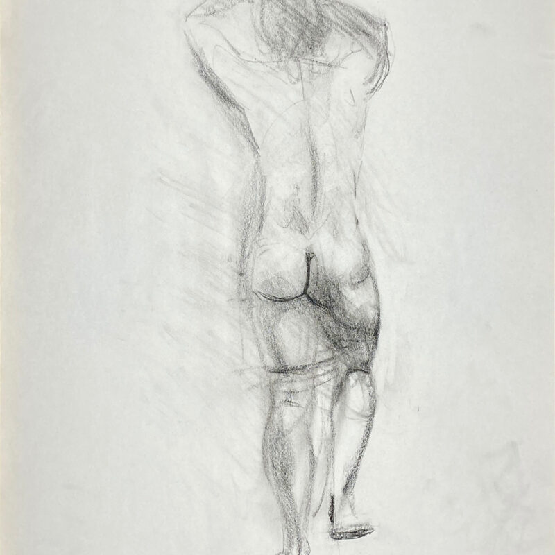 charcoal drawing of nude male model from backside