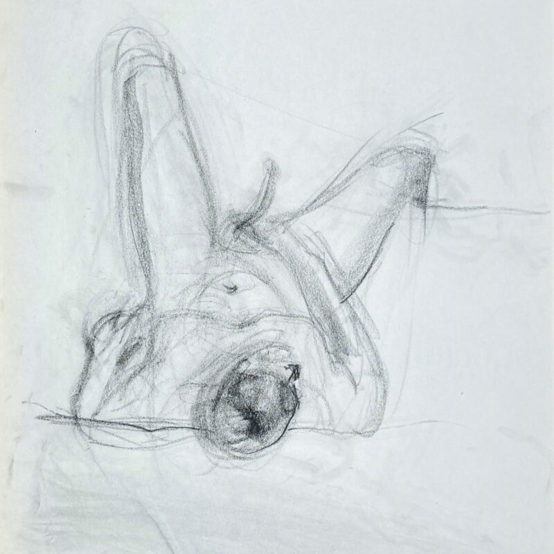 charcoal drawing of naked male model masturbating
